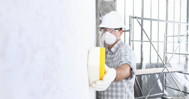  Runaway Bay, TX Mold Removal Services Pros