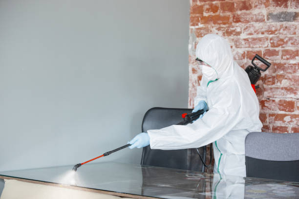 Best Biohazard Mold Removal  in Runaway Bay, TX